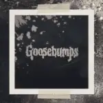 Von R.L. Stines Kultromanen zur Serie: „Gänsehaut“ feiert sein Comeback auf Disney+ (Teaser) [ Grusel | Mystery | Horror ]